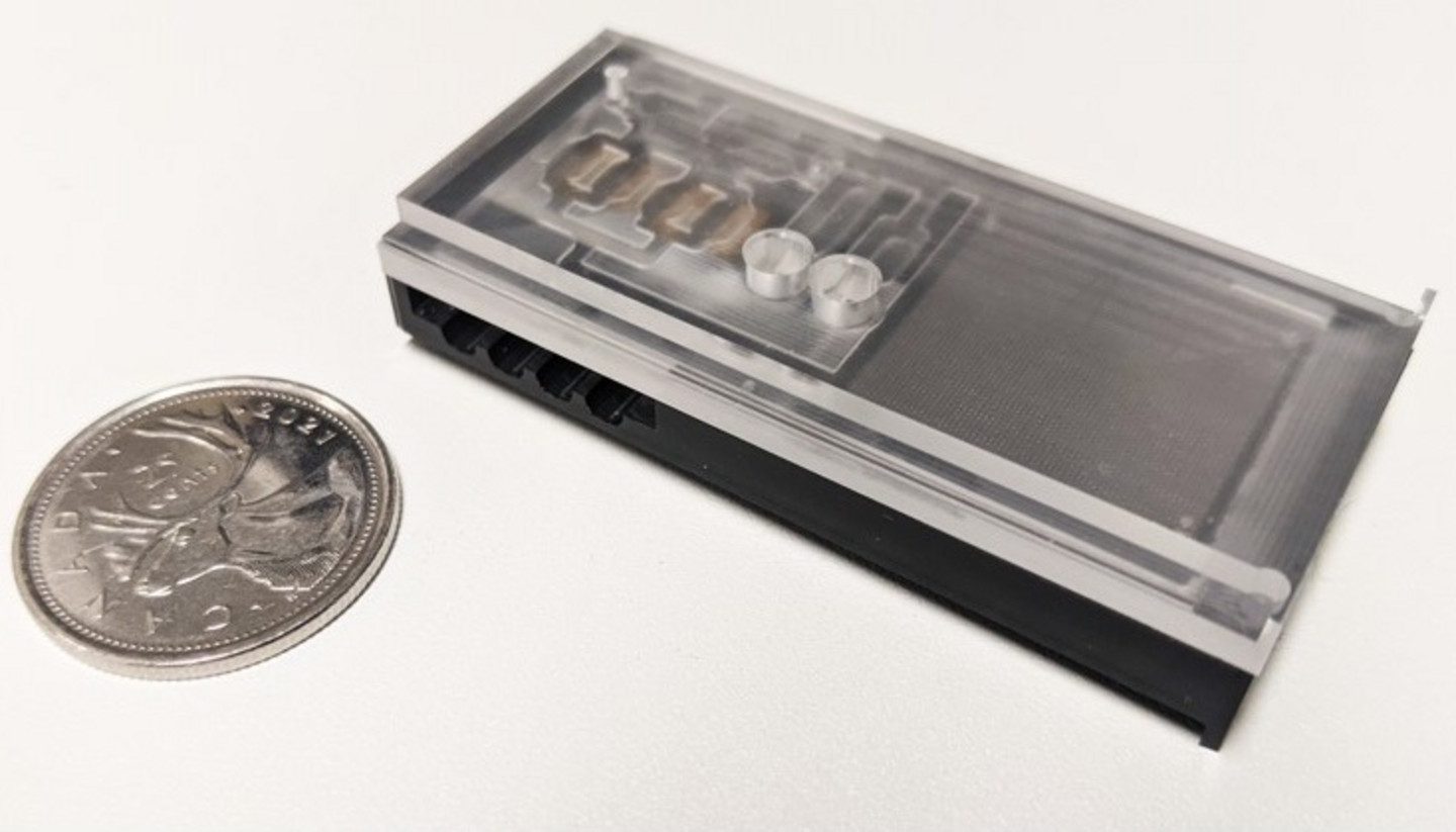 Cartouche microfluidique mise au point par le professeur Denis Boudreau