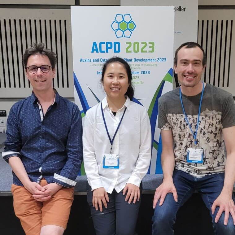 Yoan Coudert, Wenye Lin et Daniel Kierzkowski