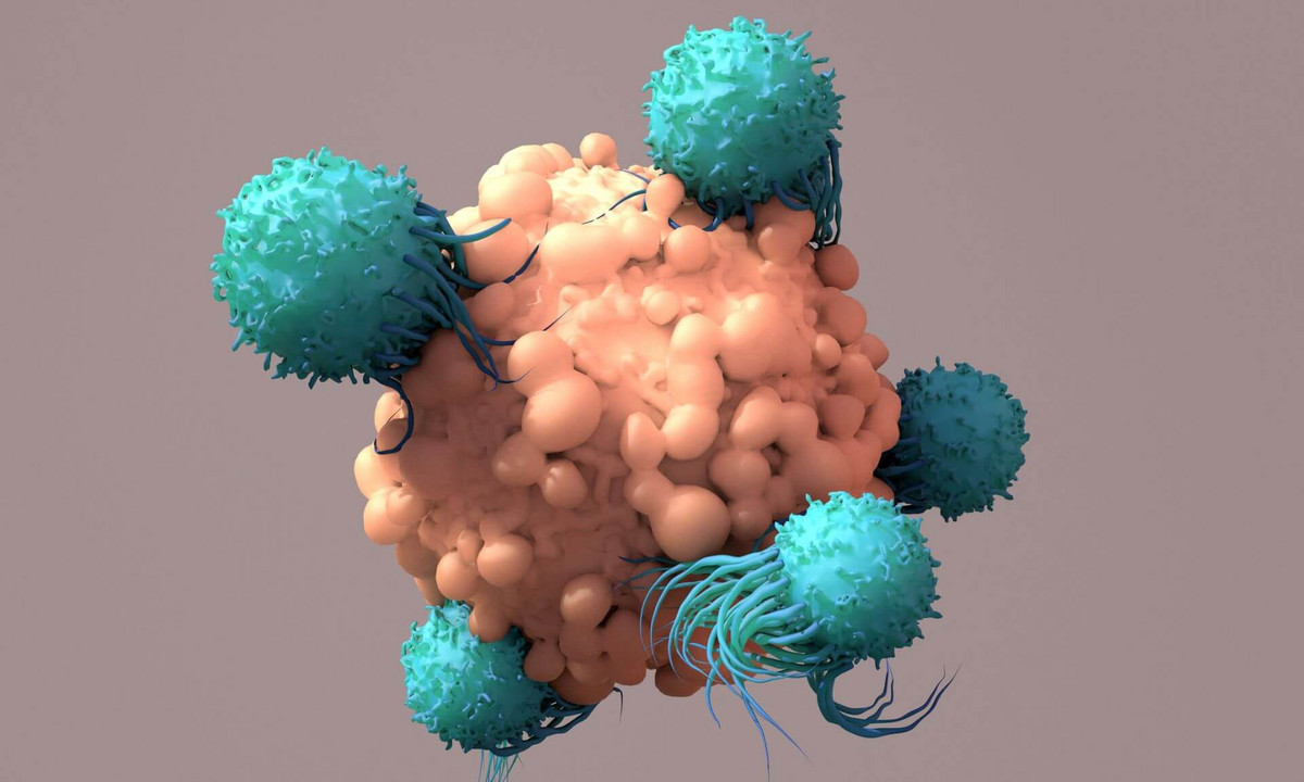 L’étude s’est concentrée sur la molécule SIRPα qui est présente sur les macrophages, ainsi que la molécule CD47 qui se retrouve sur de nombreuses cellules.