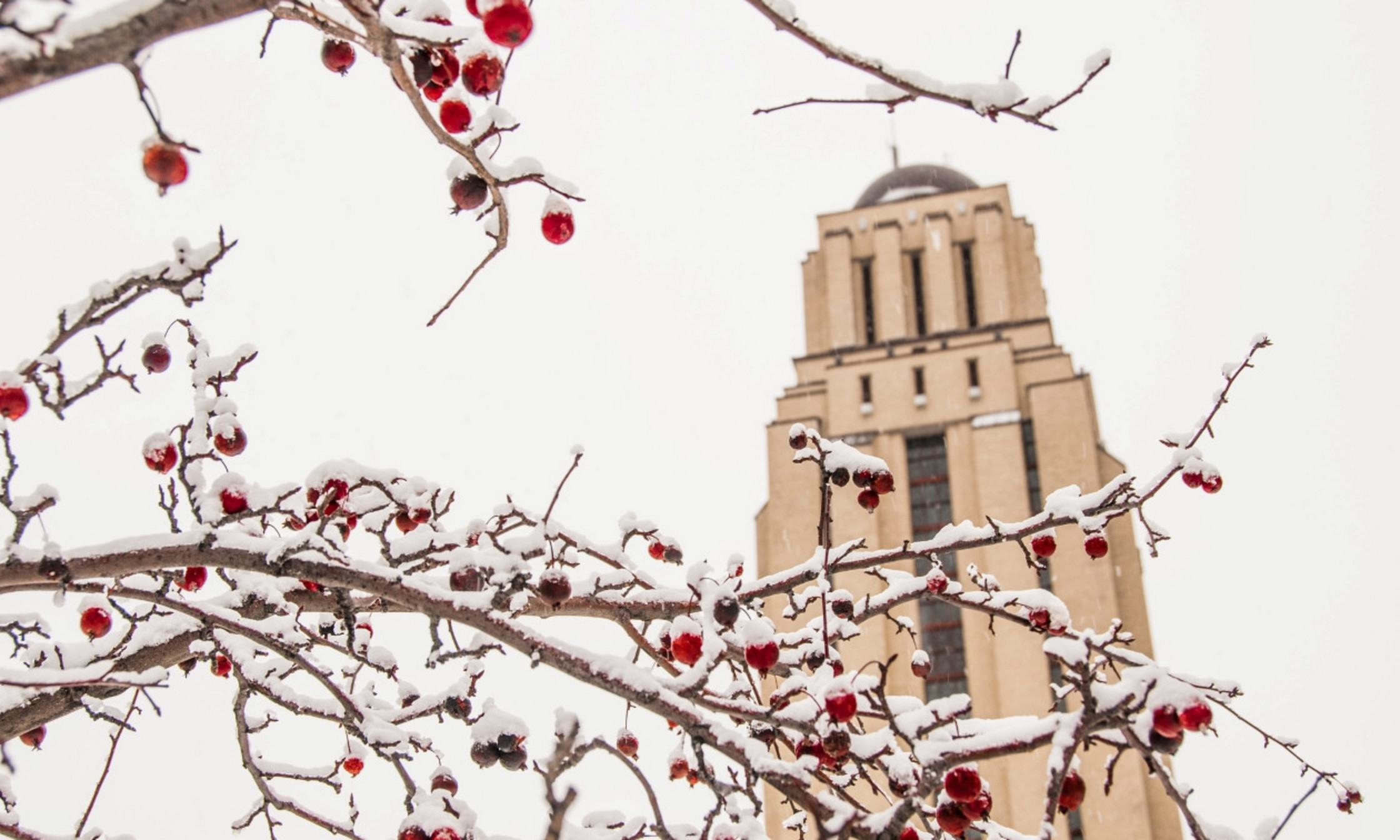 La tour du pavillon Roger-Gaudry