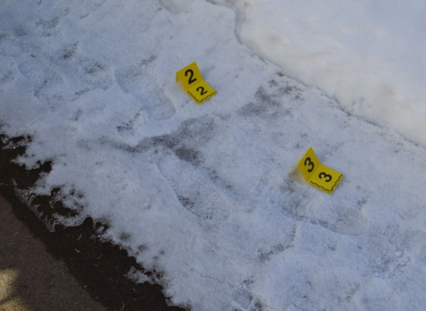Shoeprints taken from a crime scene.
