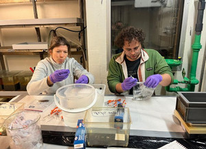 Sandra Ann Binning et Vincent Mélançon, à station de recherche marine de Kristineberg, en Suède.