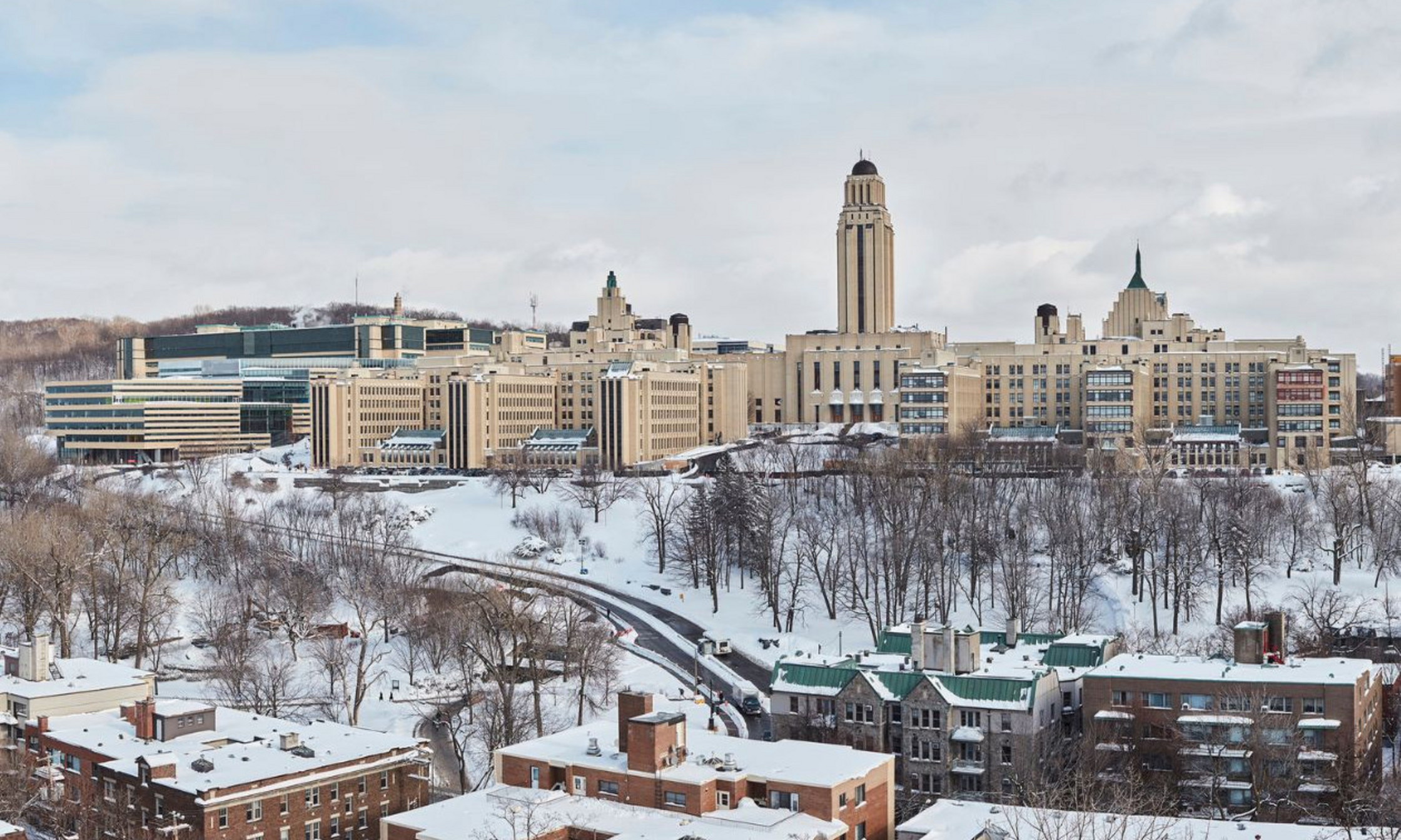 Les projets subventionnés à l’automne 2024 illustrent bien la diversité de la recherche, tant fondamentale que clinique, menée par les équipes de l'UdeM. Le campus de la montagne