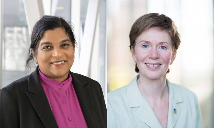 Cancer du sein: deux chercheuses de l’UdeM travaillent à de nouvelles solutions