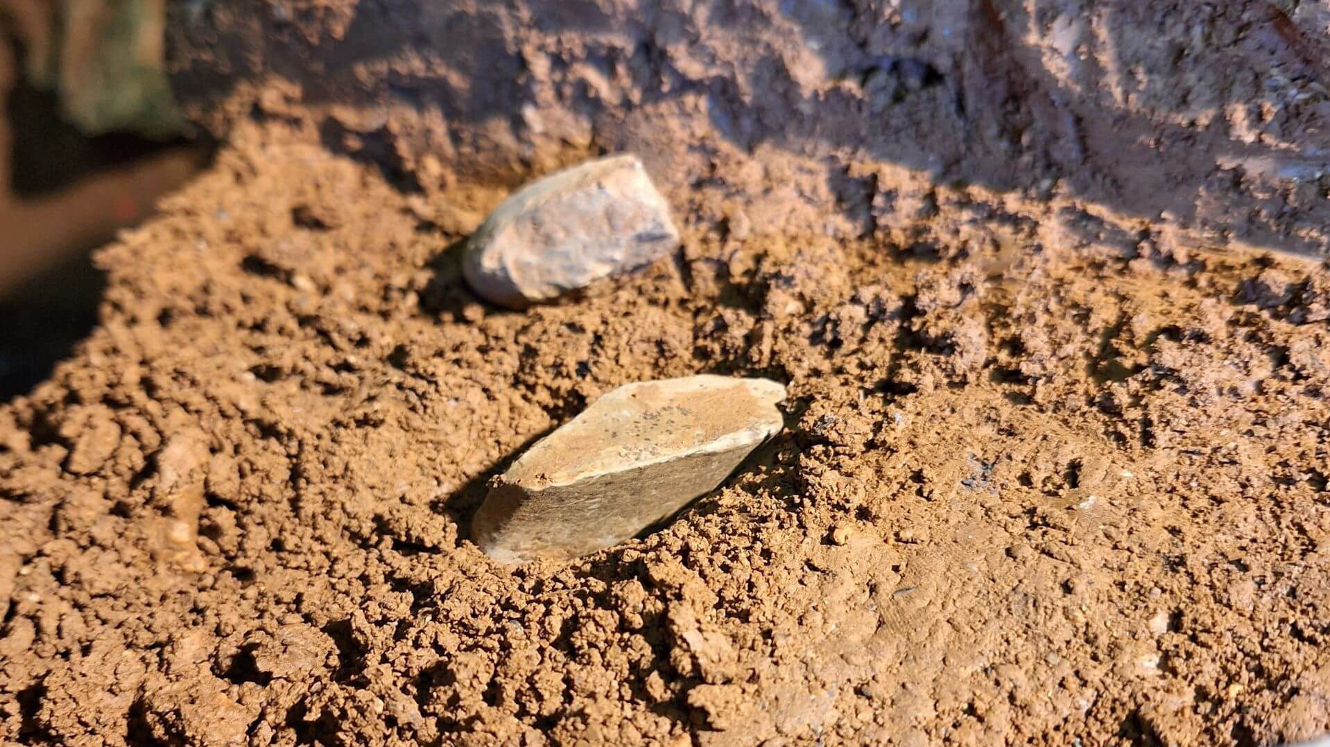 Un lithique de l’époque du Néandertal, soit un objet en pierre façonné par l'homme il y a plus de 30 000 ans pour fabriquer un outil.
