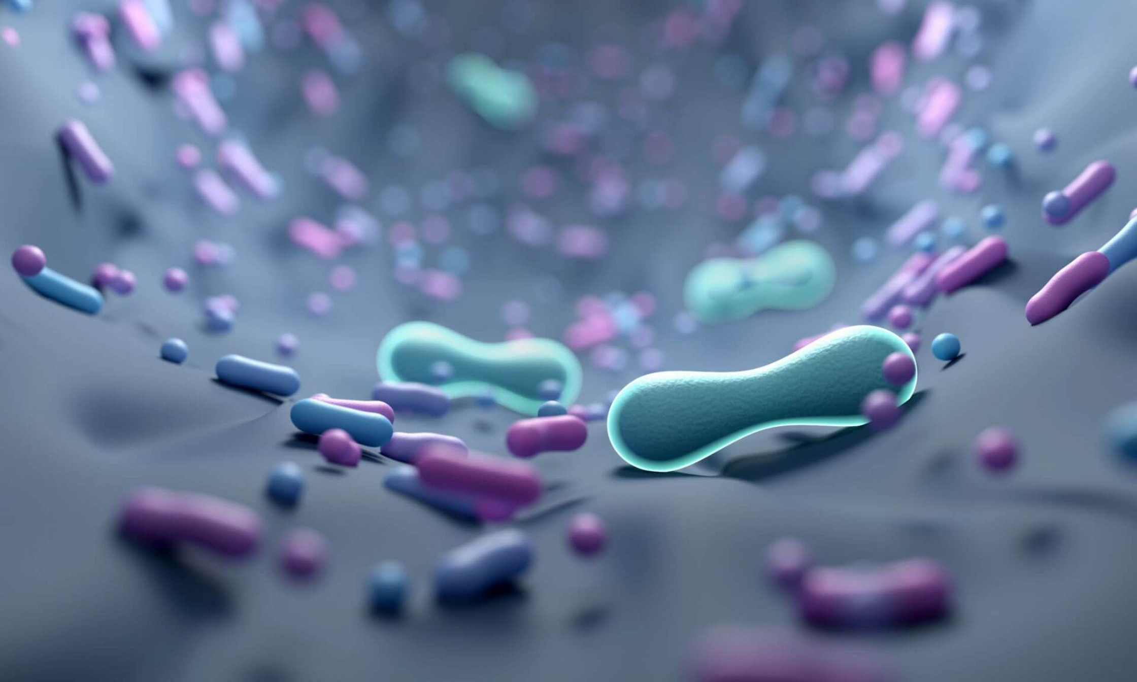 Le microbiote regroupe des milliards de microorganismes.