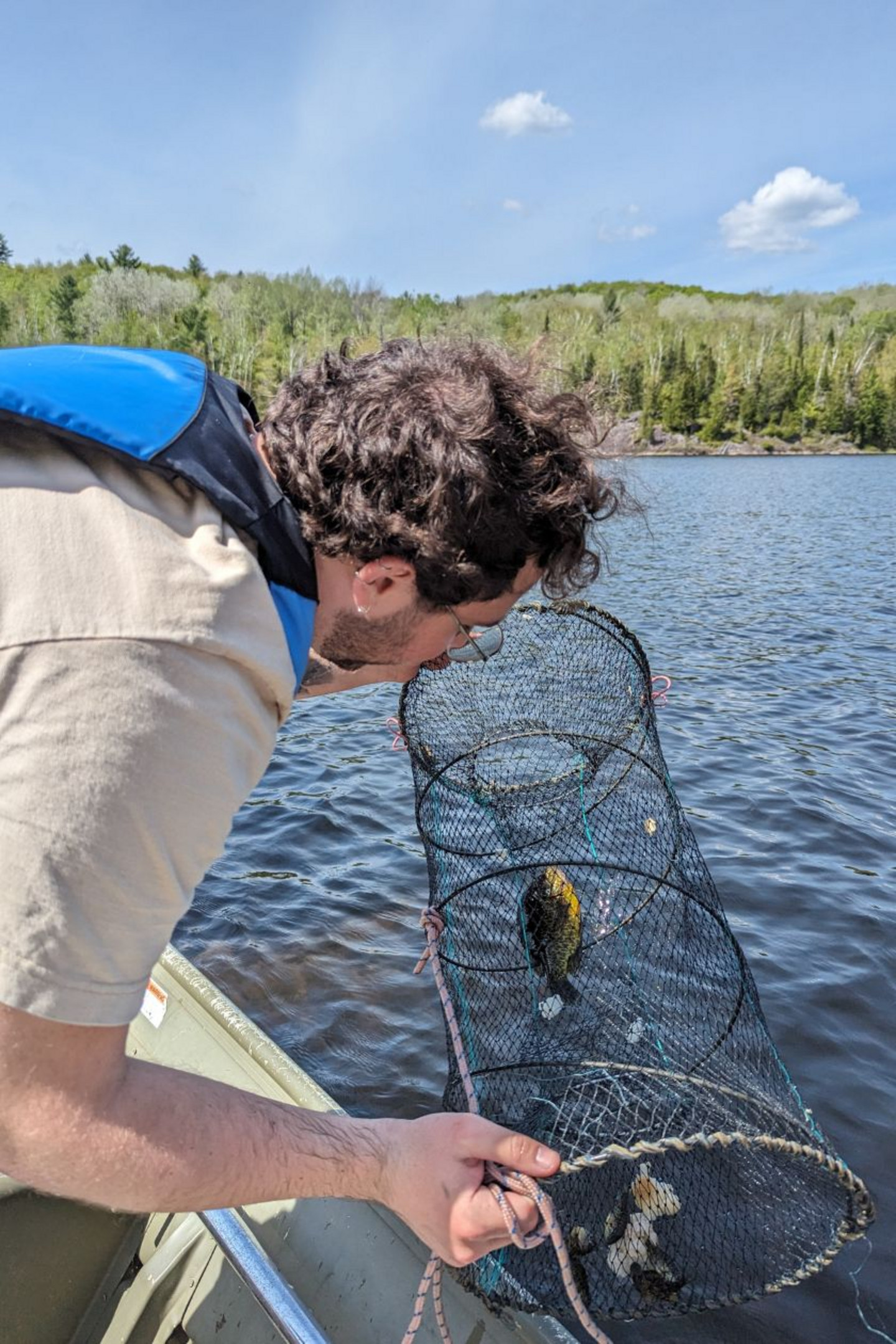 Capture of a sunfish