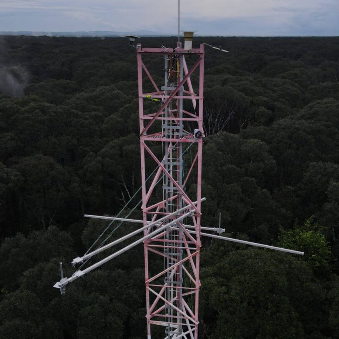 La tour de flux de 65 mètres de haut à Mendaram, équipée du matériel mais sans instruments.
